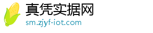 记者：门兴探索签本菲卡边锋贝斯特，球员愿意立即加盟-真凭实据网